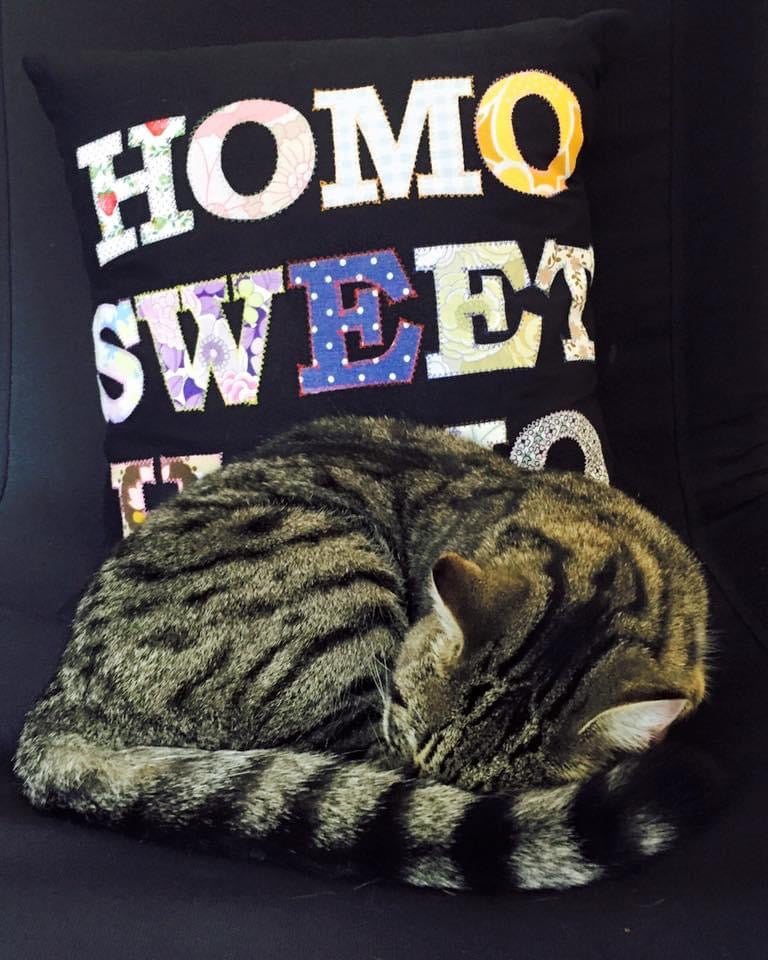 Homo Sweet Homo Cushion Black